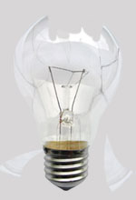 bulb