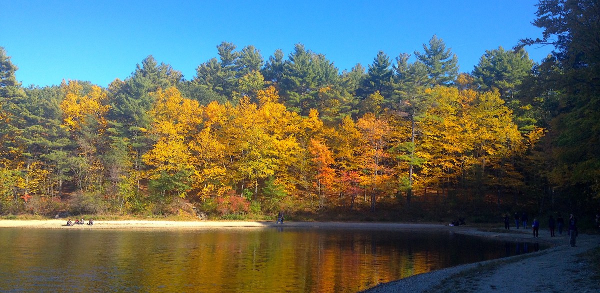 Heaven is under our feet as well as over our&nbsp;heads